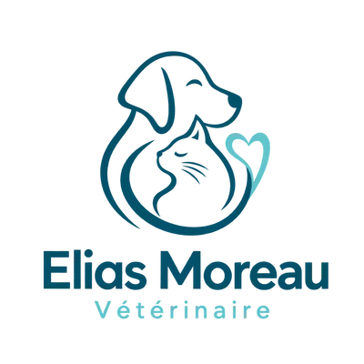 DEMO :: Elias Moreau